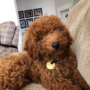 Meet your Posher, Stacy